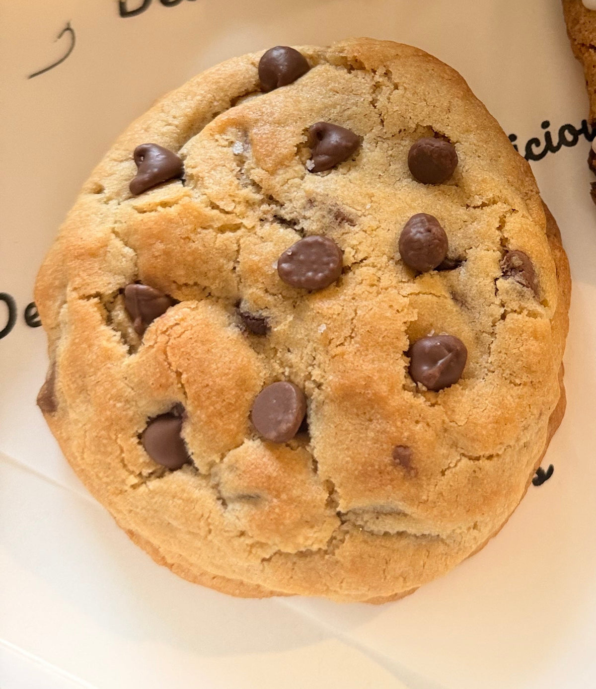 Chocolate Chip Cookie
